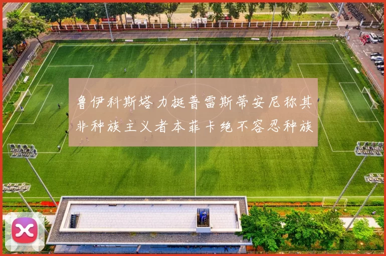 鲁伊科斯塔力挺普雷斯蒂安尼称其非种族主义者本菲卡绝不容忍种族歧视