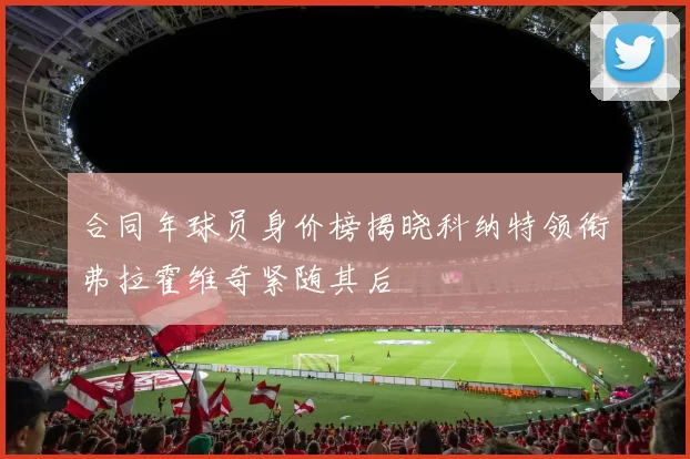 合同年球员身价榜揭晓科纳特领衔弗拉霍维奇紧随其后